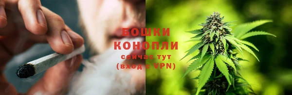 трава Абинск