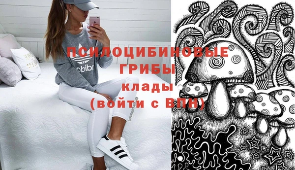 твердый Абаза
