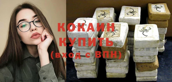 твердый Абаза