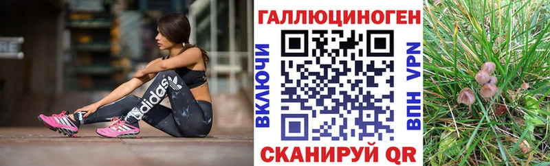 Галлюциногенные грибы Psilocybe  Новотроицк 