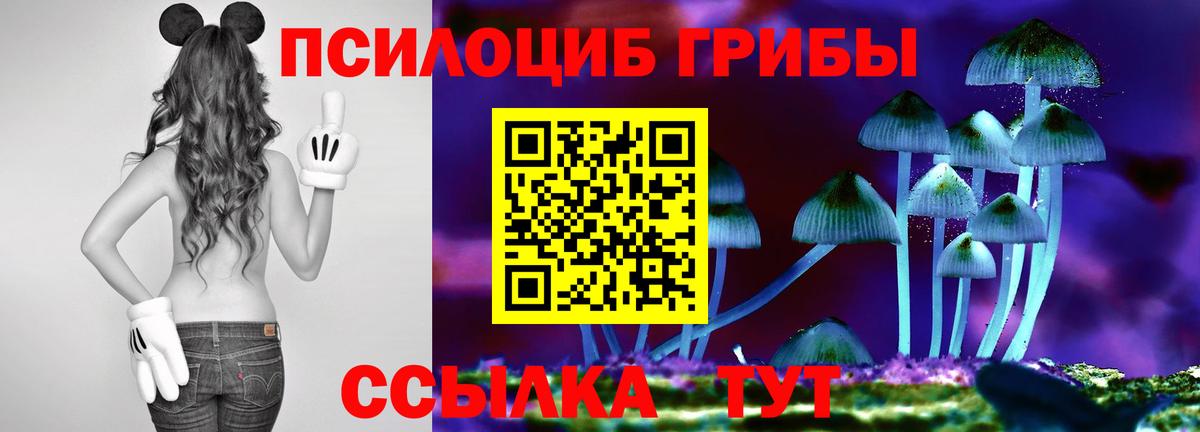 Новотроицк  Галлюциногенные грибы Psilocybe  как найти наркотики  Вход с VPN 